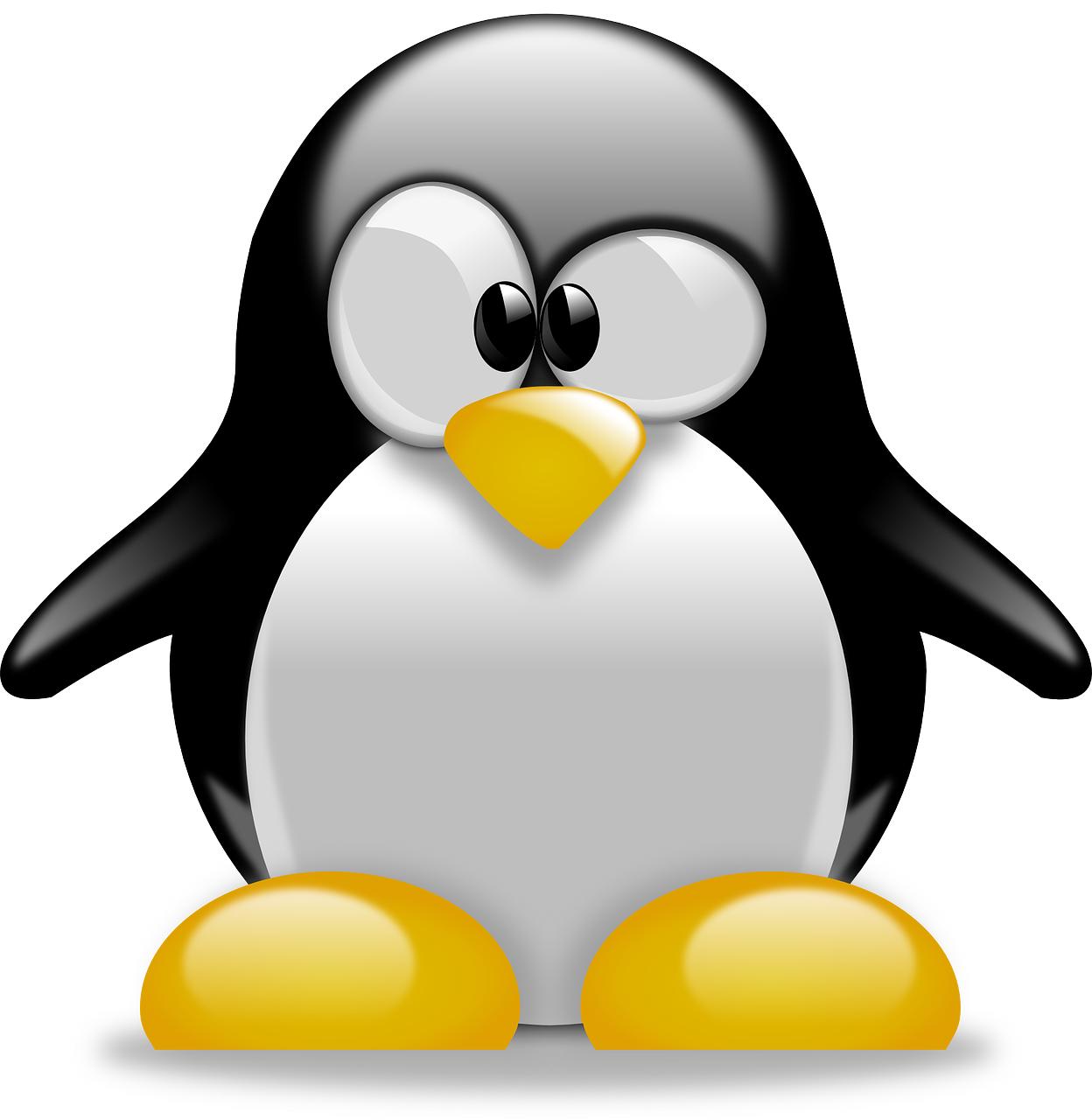 Linux Commands for Cloud Engineers